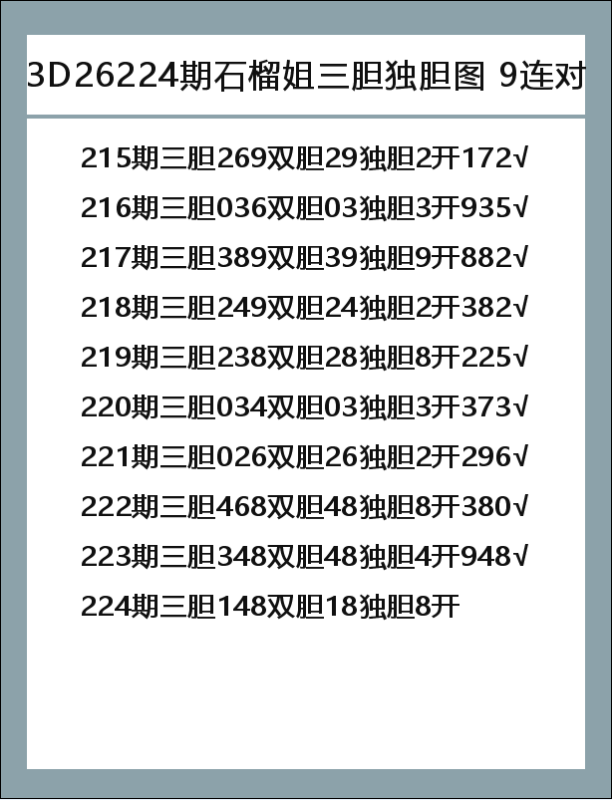 石榴姐-9.png