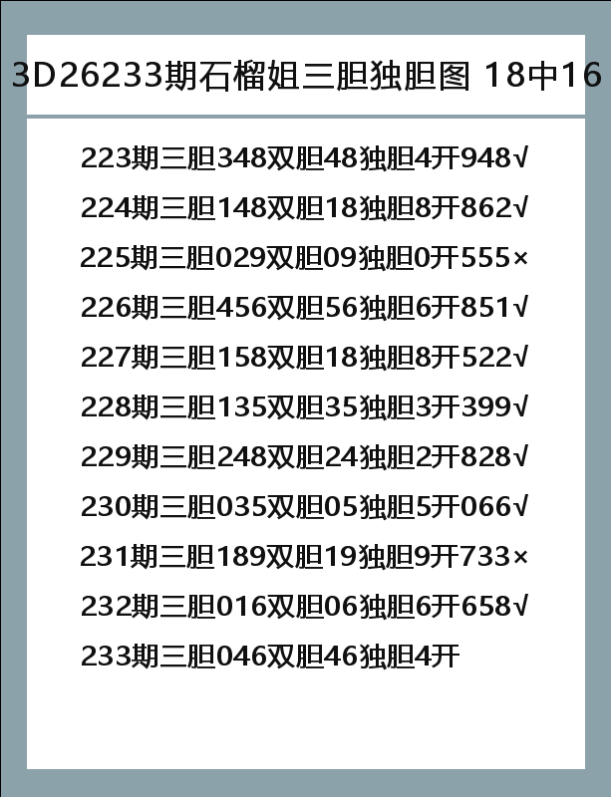 石榴姐-9.png