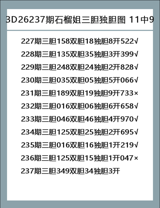 石榴姐-9.png